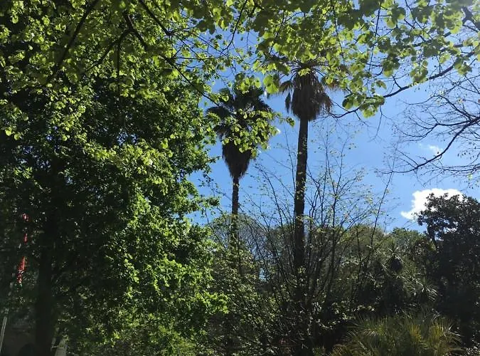 Arch. 公寓 圣塞瓦斯蒂安